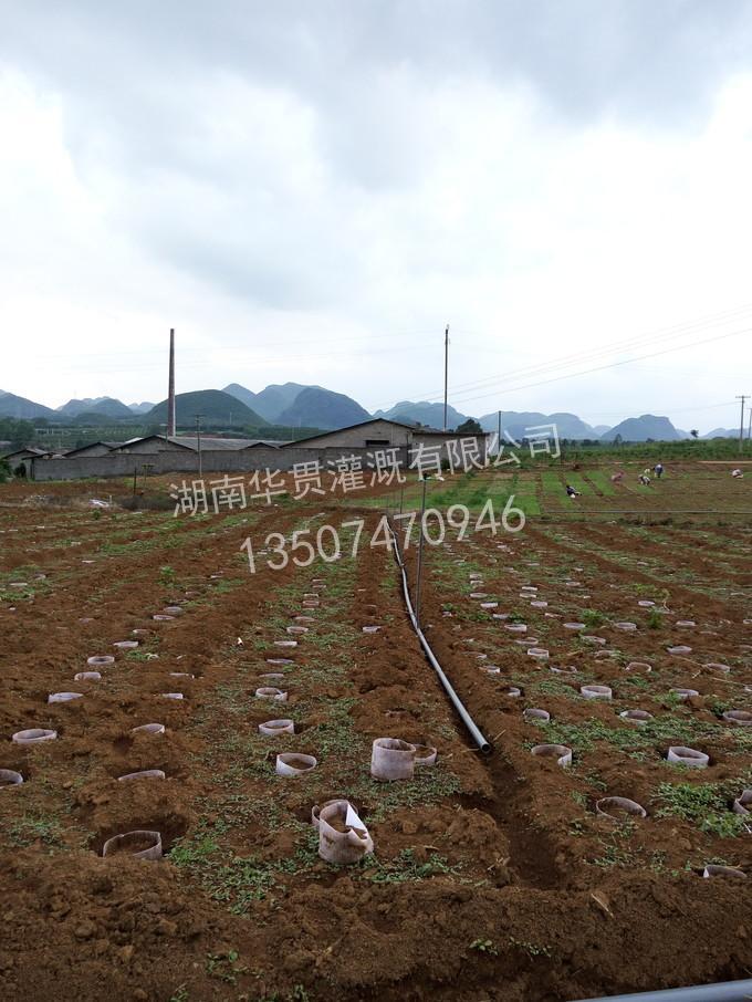 江永苗木基地自动喷灌实例 