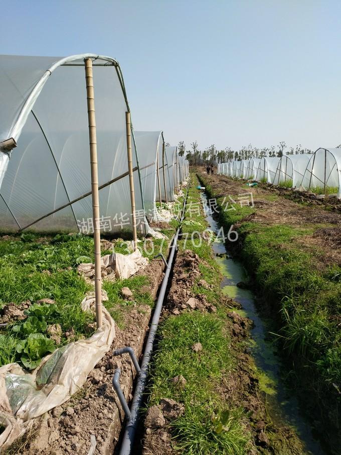 蔬菜大棚水肥一体化自动节水喷灌实例 